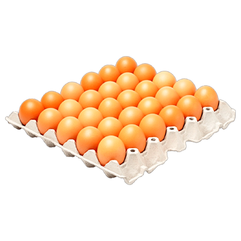 HUEVO AA ROJO AVINAL X 30 UND