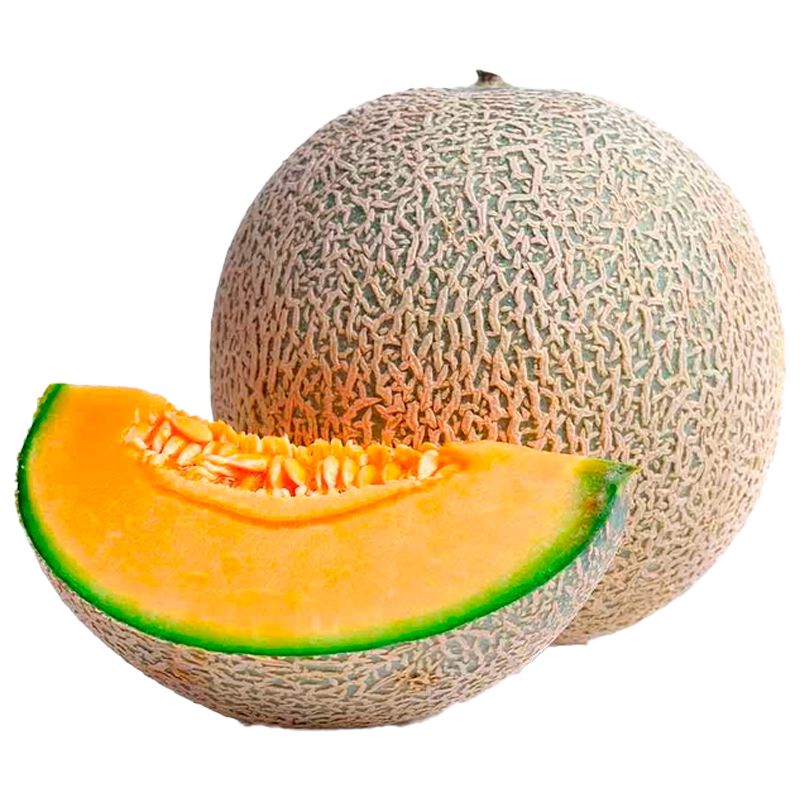 MELON X LIBRA