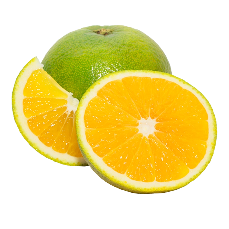 NARANJA VALENCIA X LIBRA