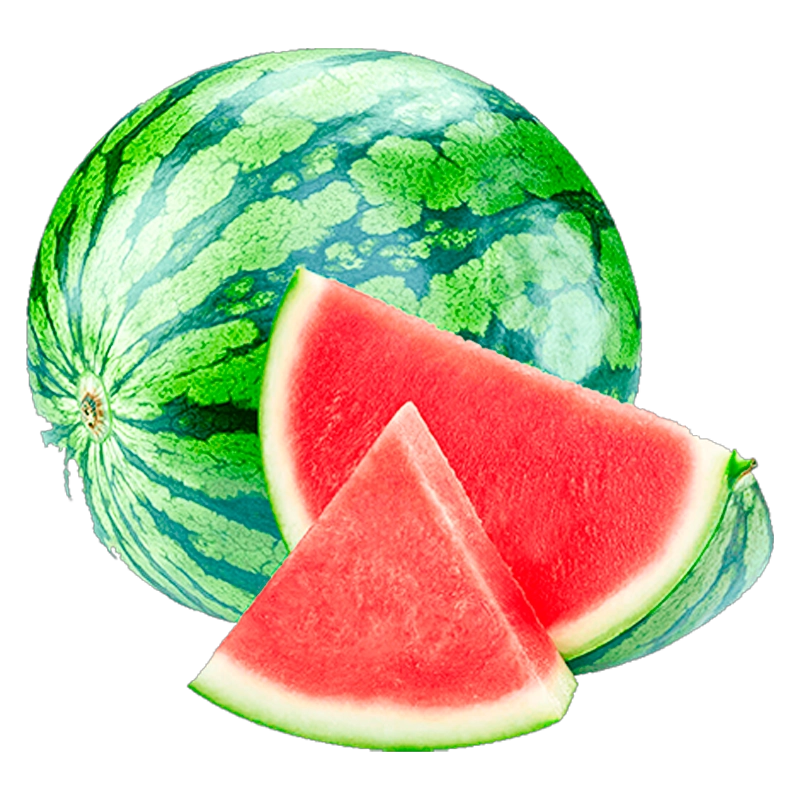 SANDIA X LIBRA