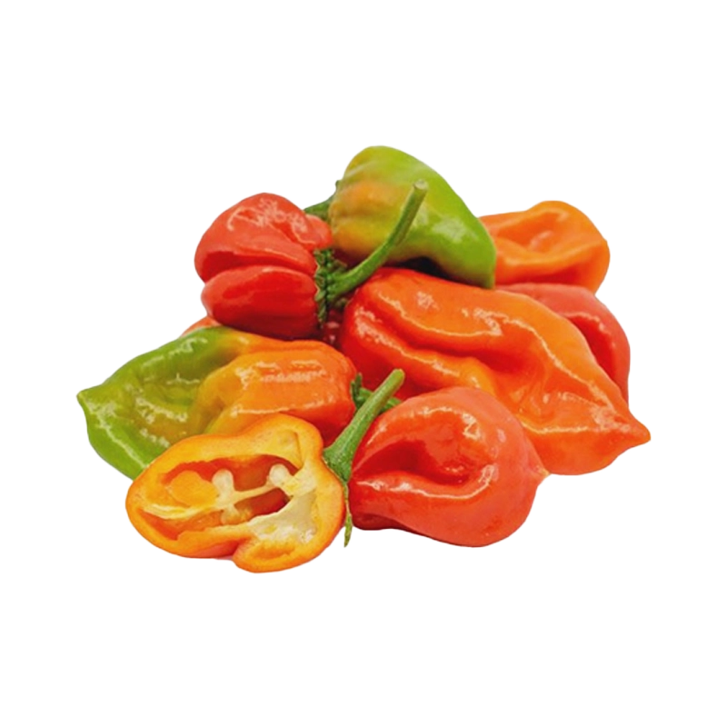 AJI DULCE X LIBRA