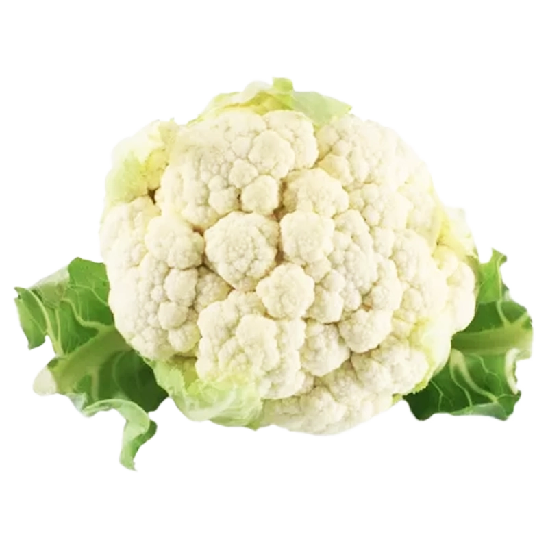 COLIFLOR X LIBRA