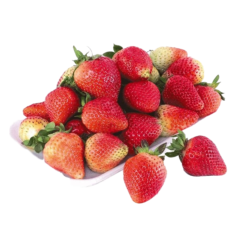 FRESA GRUESA EXTRA BANDEJA