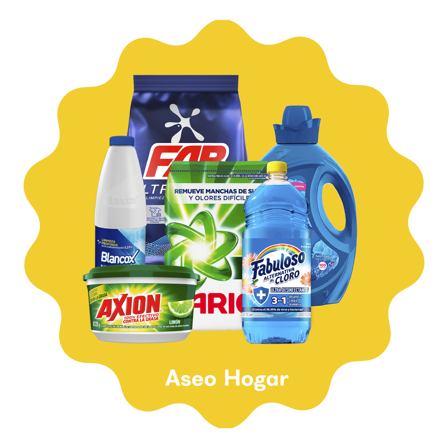 Aseo Hogar
