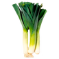 CEBOLLA PUERRO X LIBRA