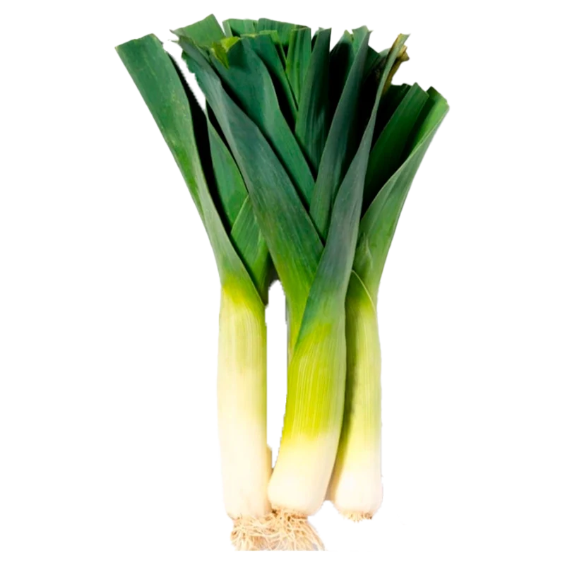 CEBOLLA PUERRO X LIBRA