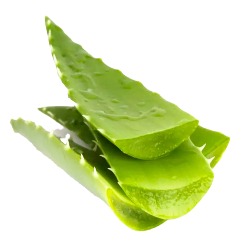 PENCA SABILA X LIBRA