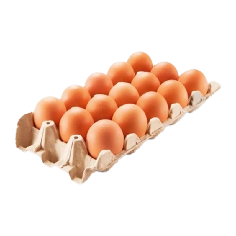 HUEVO AA AVINAL ROJO X 15 UND