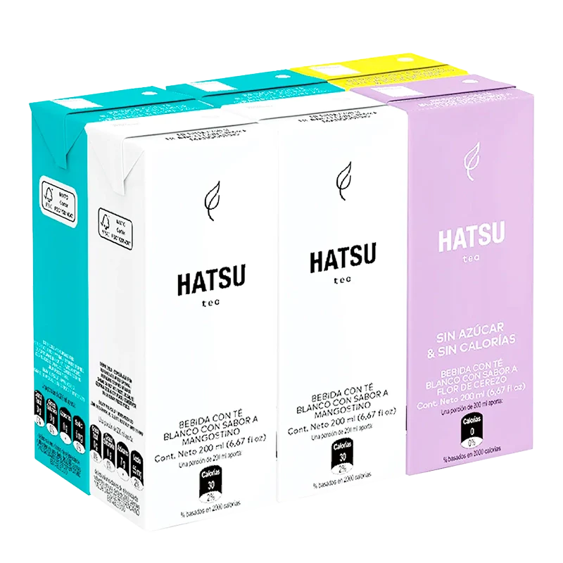 TE HATSU SURTIDO X 6 X 200 ML C/U