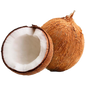 COCO FRUVER UND