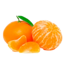 MANDARINA X LIBRA