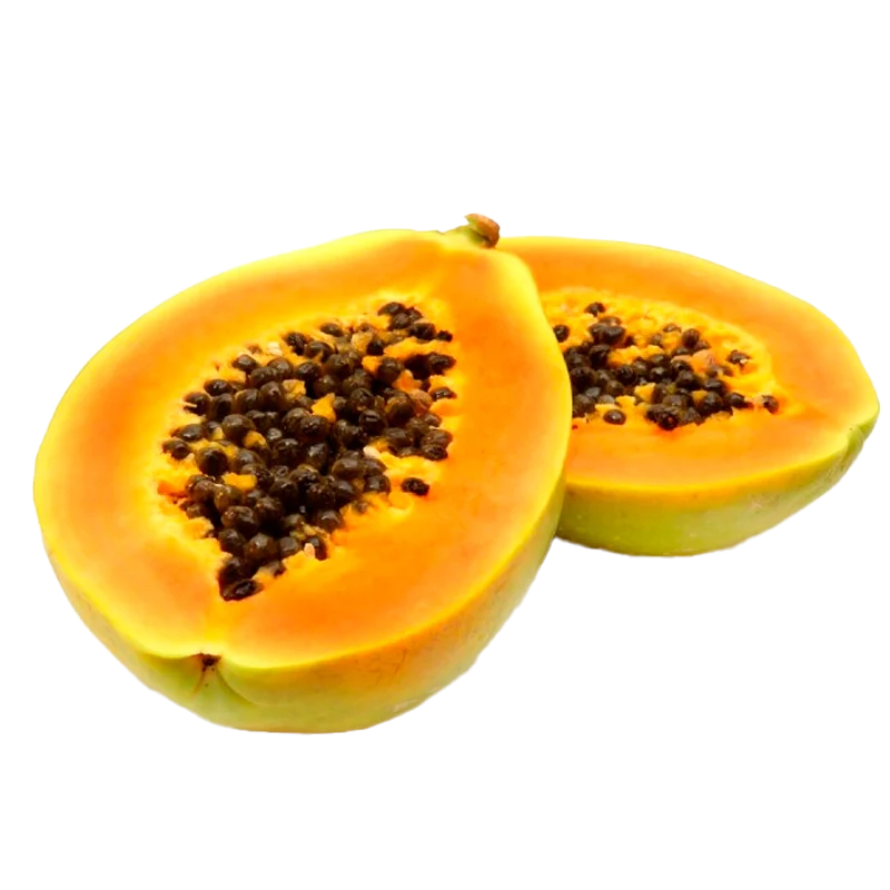 PAPAYA X LIBRA