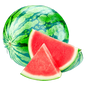 SANDIA X LIBRA