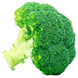 BROCOLI X LIBRA