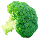 BROCOLI X LIBRA