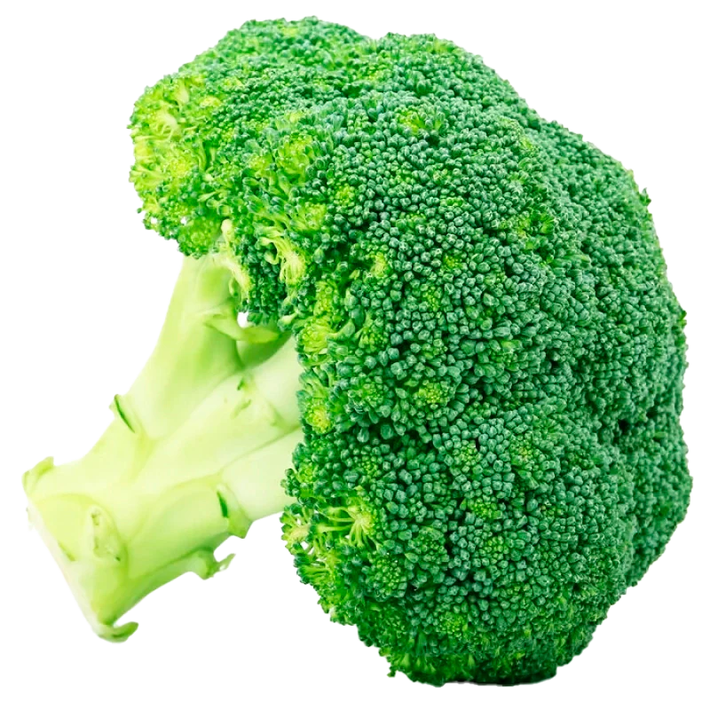 BROCOLI X LIBRA