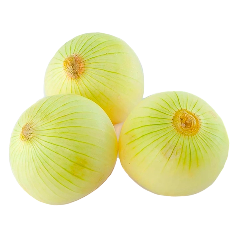 CEBOLLA BLANCA X LIBRA