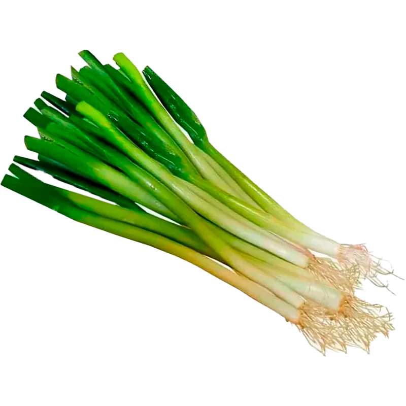 CEBOLLA JUNCA X LIBRA