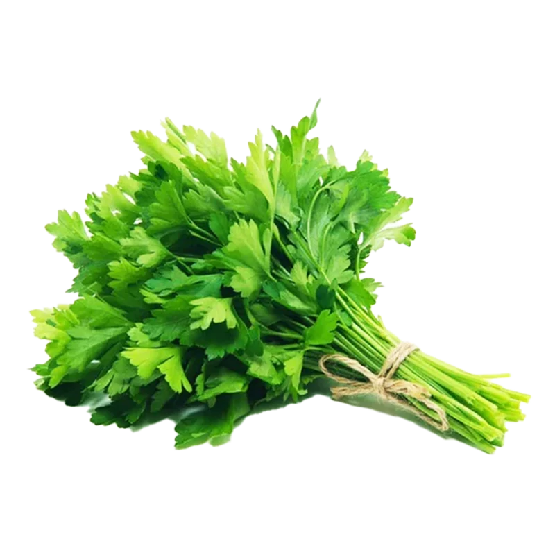 CILANTRO X 100 GR