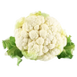 COLIFLOR X LIBRA