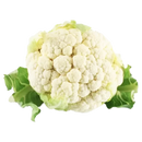 COLIFLOR X LIBRA