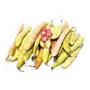 FRIJOL VERDE X LIBRA