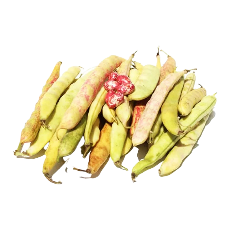 FRIJOL VERDE X LIBRA