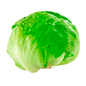 LECHUGA BATAVIA UNIDAD