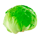 LECHUGA BATAVIA UNIDAD