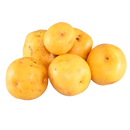 PAPA CRIOLLA X LIBRA