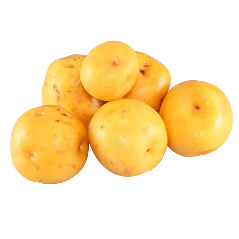 PAPA CRIOLLA X LIBRA