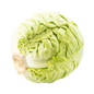 REPOLLO BLANCO X LIBRA