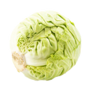 REPOLLO BLANCO X LIBRA