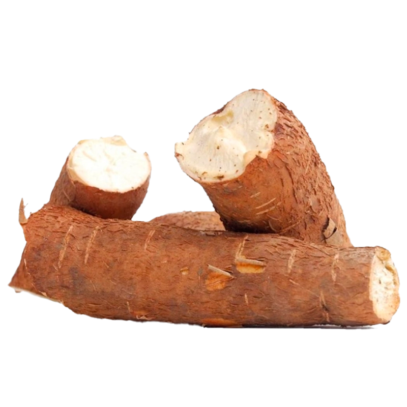 YUCA X LIBRA