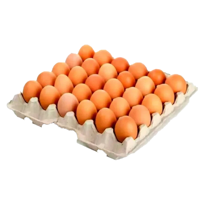 HUEVO A ROJO AVINAL AMARRE X 30