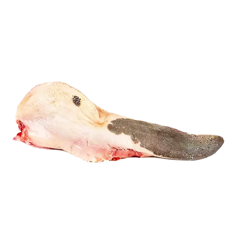 LENGUA X LIBRA