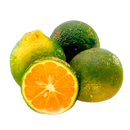 LIMON MANDARINO X LIBRA