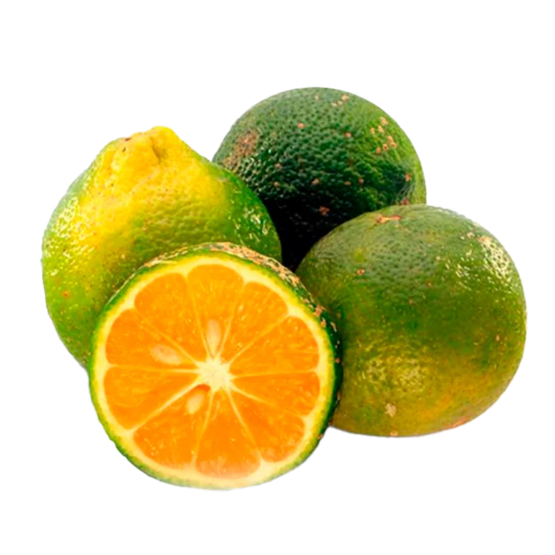 LIMON MANDARINO X LIBRA