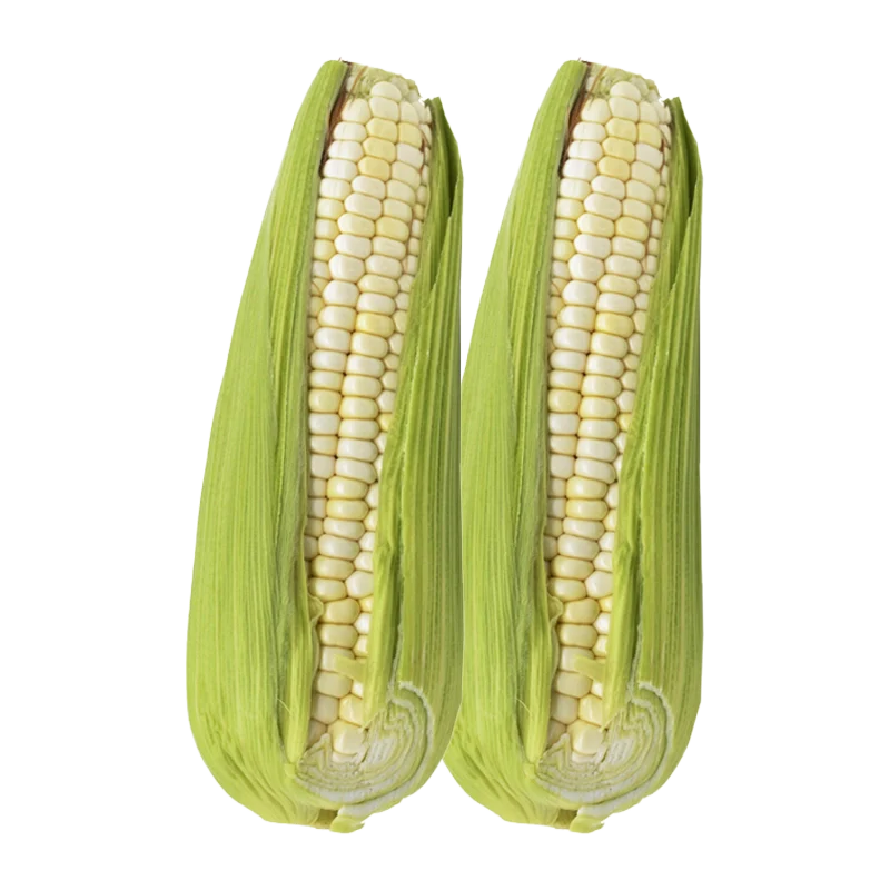 CHOCOLO MAZORCA UNIDAD