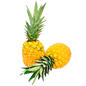 PIÑA ORO MIEL CON CORONA X LIBRA