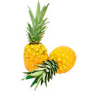 PIÑA ORO MIEL CON CORONA X LIBRA