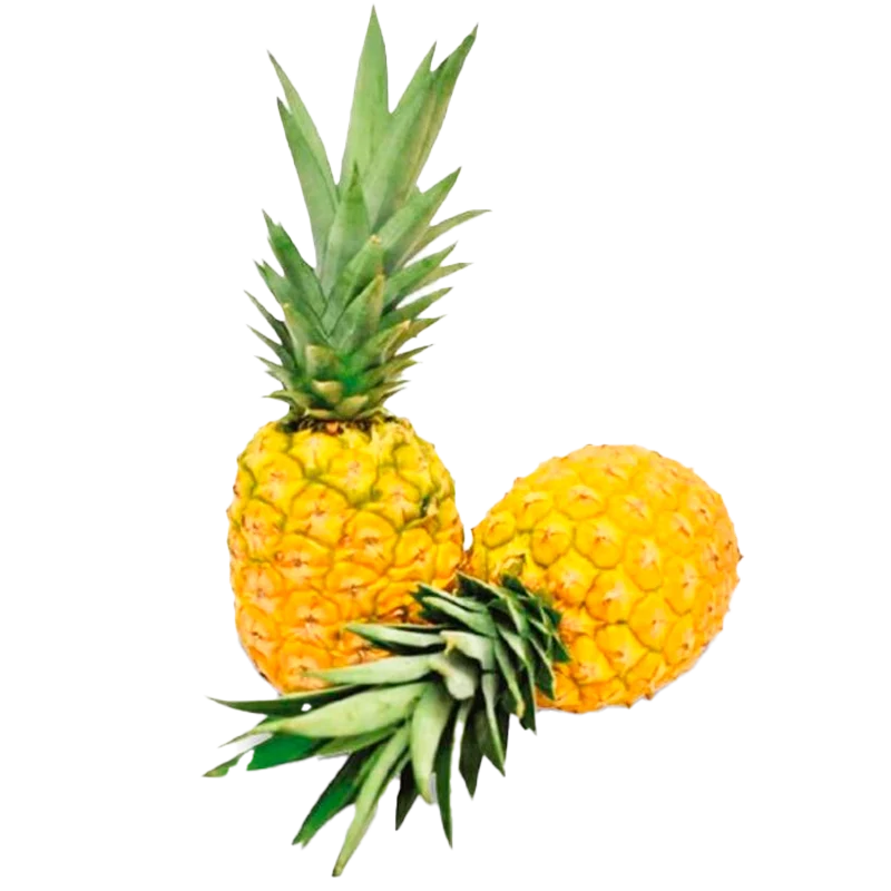 PIÑA ORO MIEL CON CORONA X LIBRA