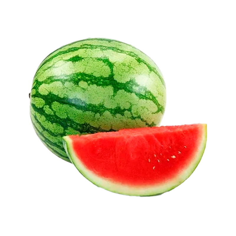 SANDIA BABY X LIBRA
