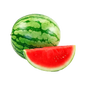 SANDIA BABY X LIBRA