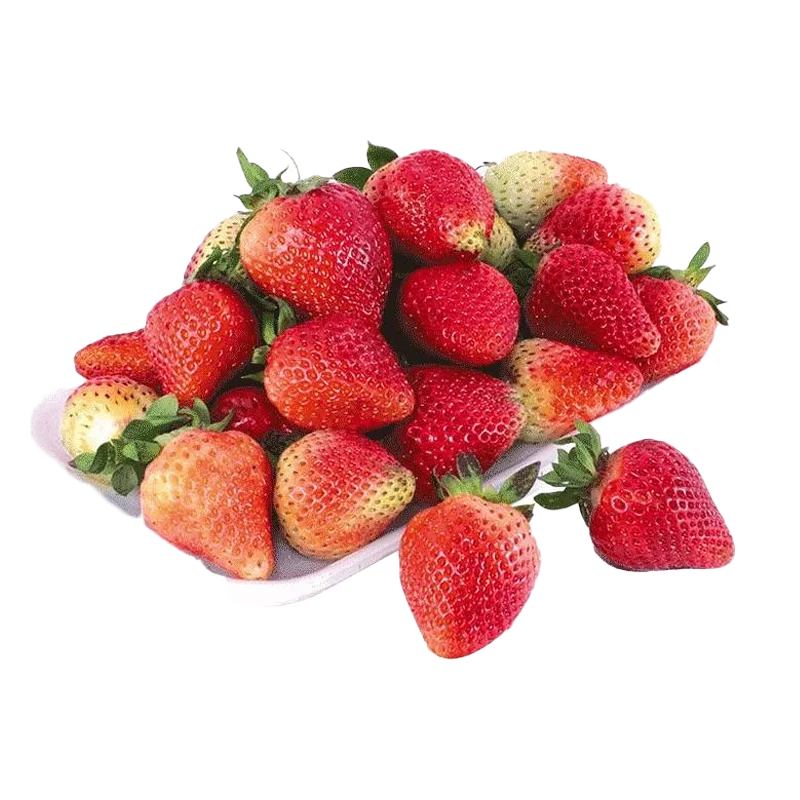 FRESA GRUESA EXTRA BANDEJA