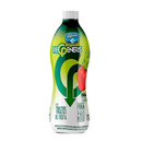 YOGURT REGENERIS SURTIDO X  UND